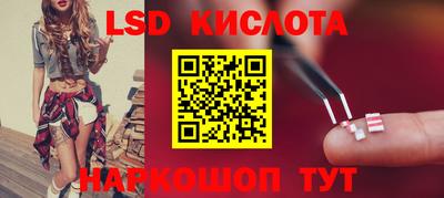 индика Славгород