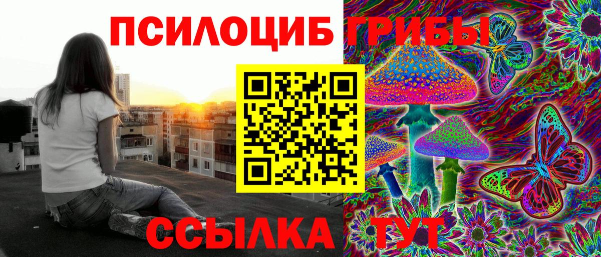 Галлюциногенные грибы мухоморы  Галлюциногенные грибы мицелий  Вход с VPN  Отрадное 