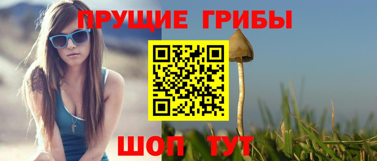 Галлюциногенные грибы мухоморы Отрадное
